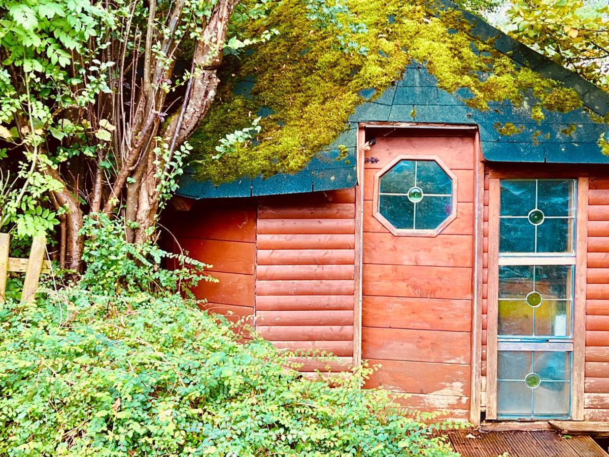 Landhaus De Gaspary Зеехаузен ам Щафелзее Екстериор снимка